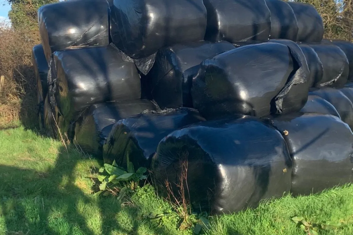 Silage bales