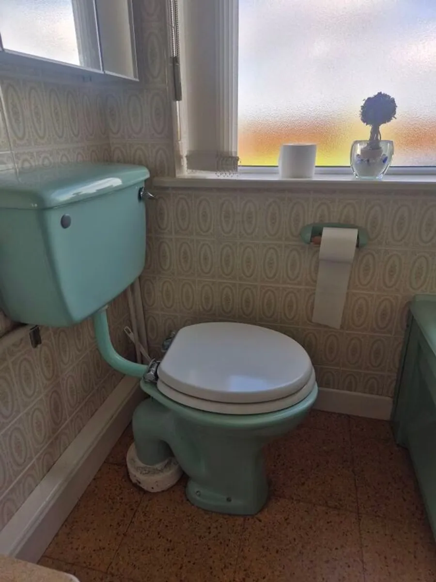 castiron bathroom mid century modern - Image 4