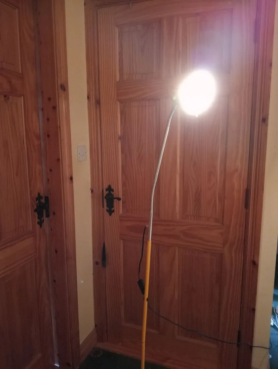 Floor lamp - Image 2