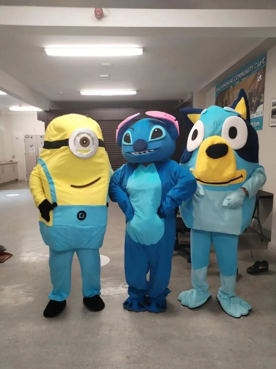 Fully operational business mascot hire in cork - Image 1