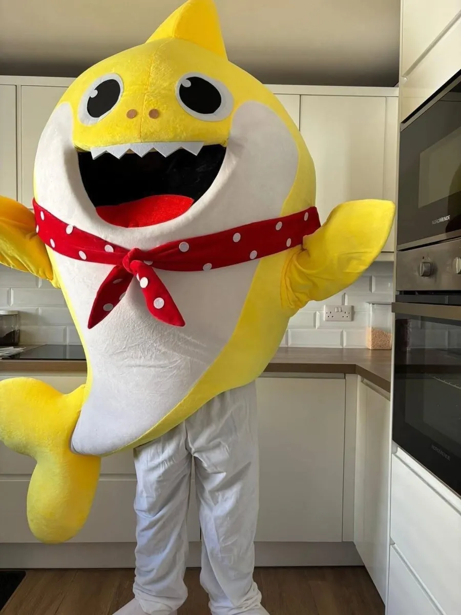 Fully operational business mascot hire in cork - Image 3