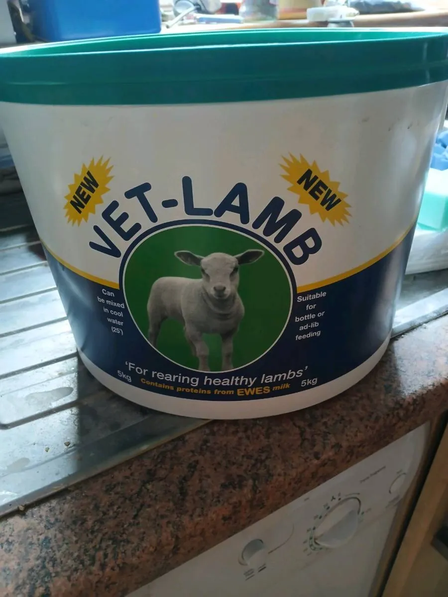 Pet lamb and bucket milk - Image 4