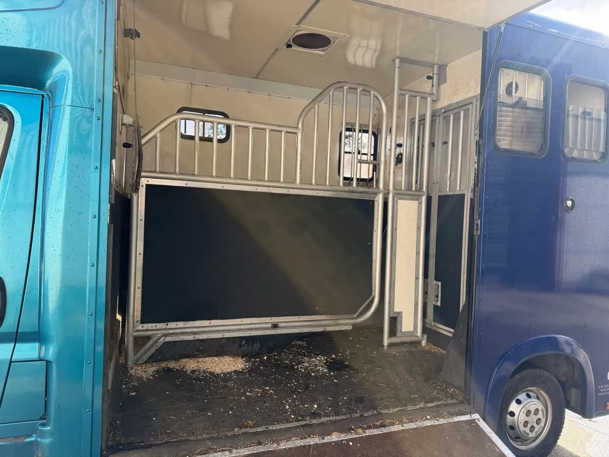 Citroen Relay 2015 2 horse van Horsebox - Image 3