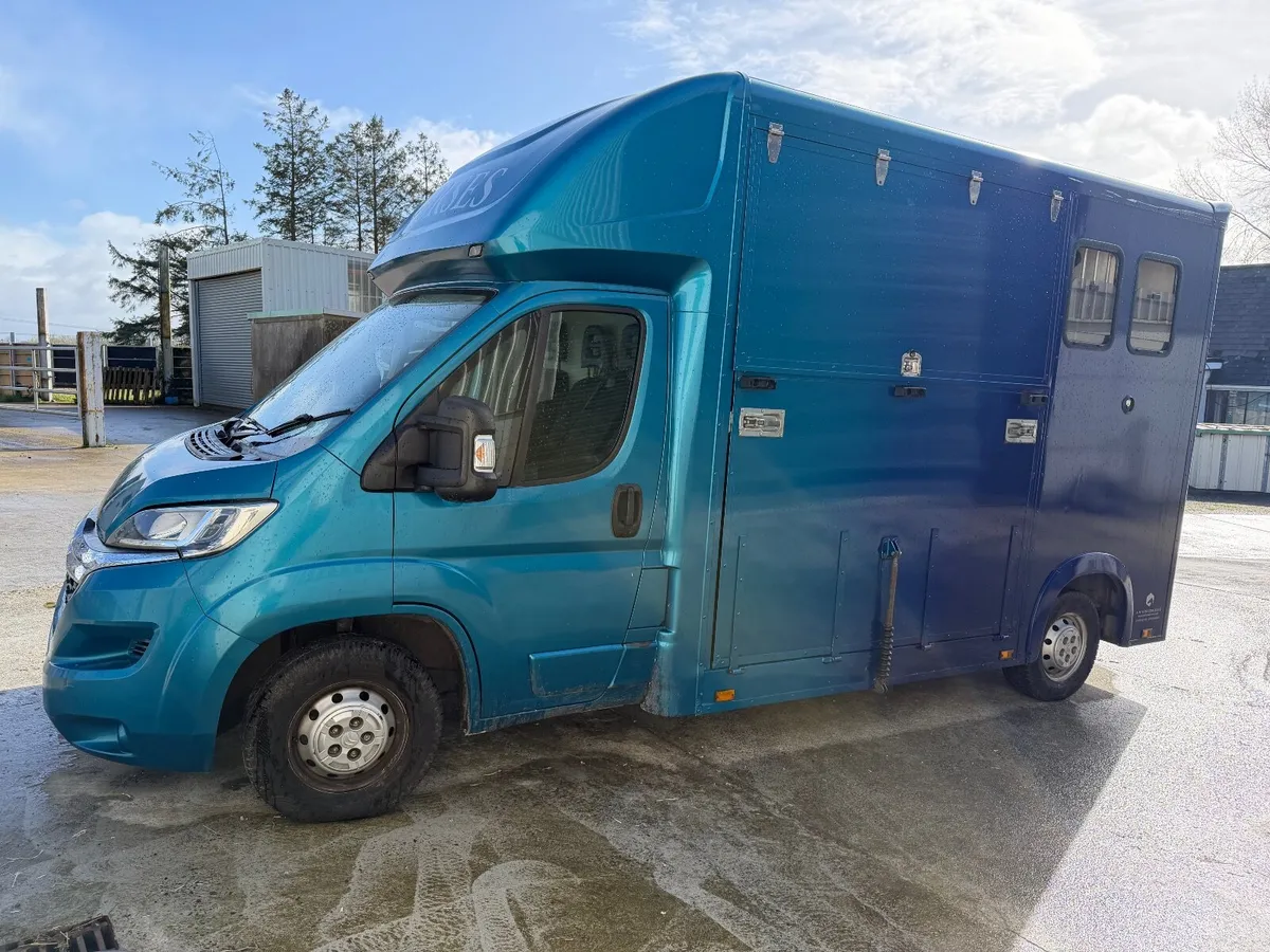 Citroen Relay 2015 2 horse van Horsebox - Image 4