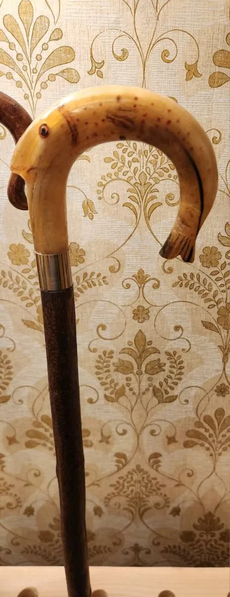 Rams Horn Shepherd Crooks - Image 2