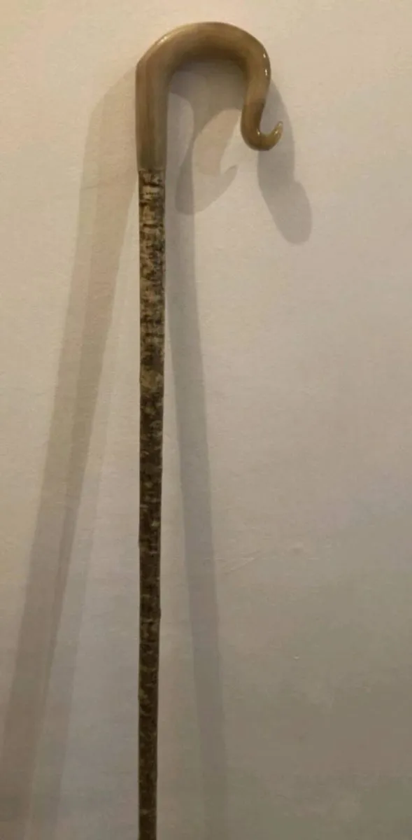 Rams Horn Shepherd Crooks - Image 3