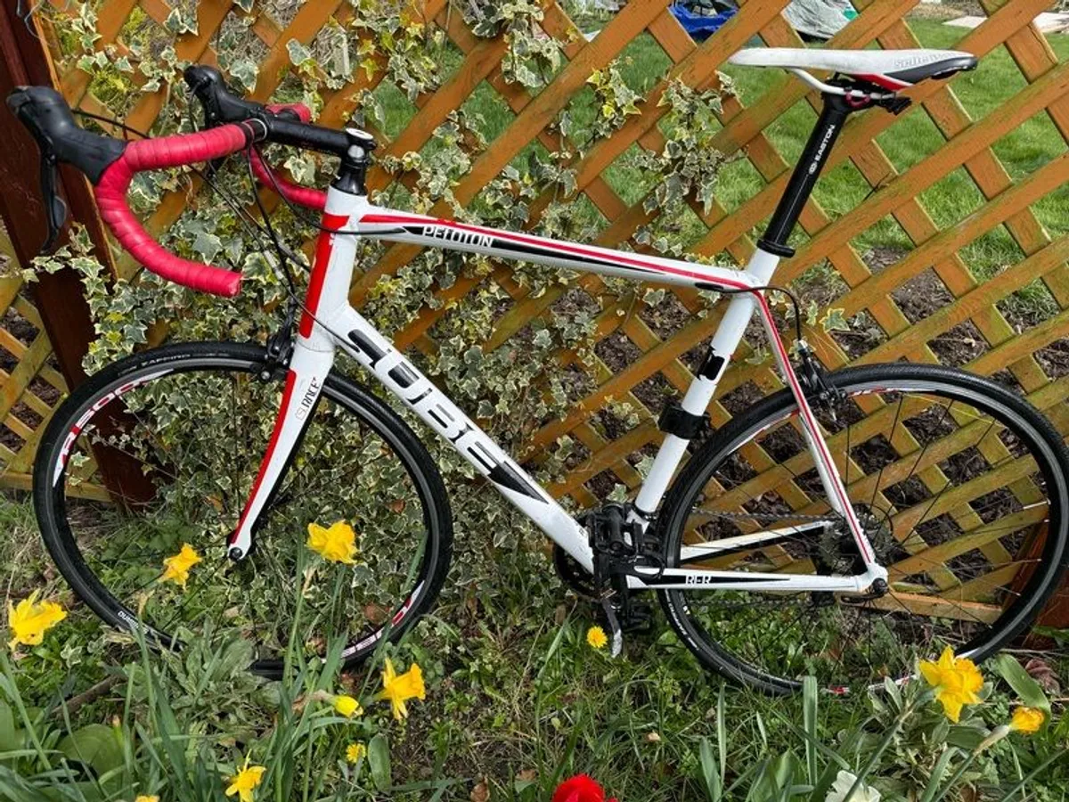 Cube Peloton XXL Rare - Image 1