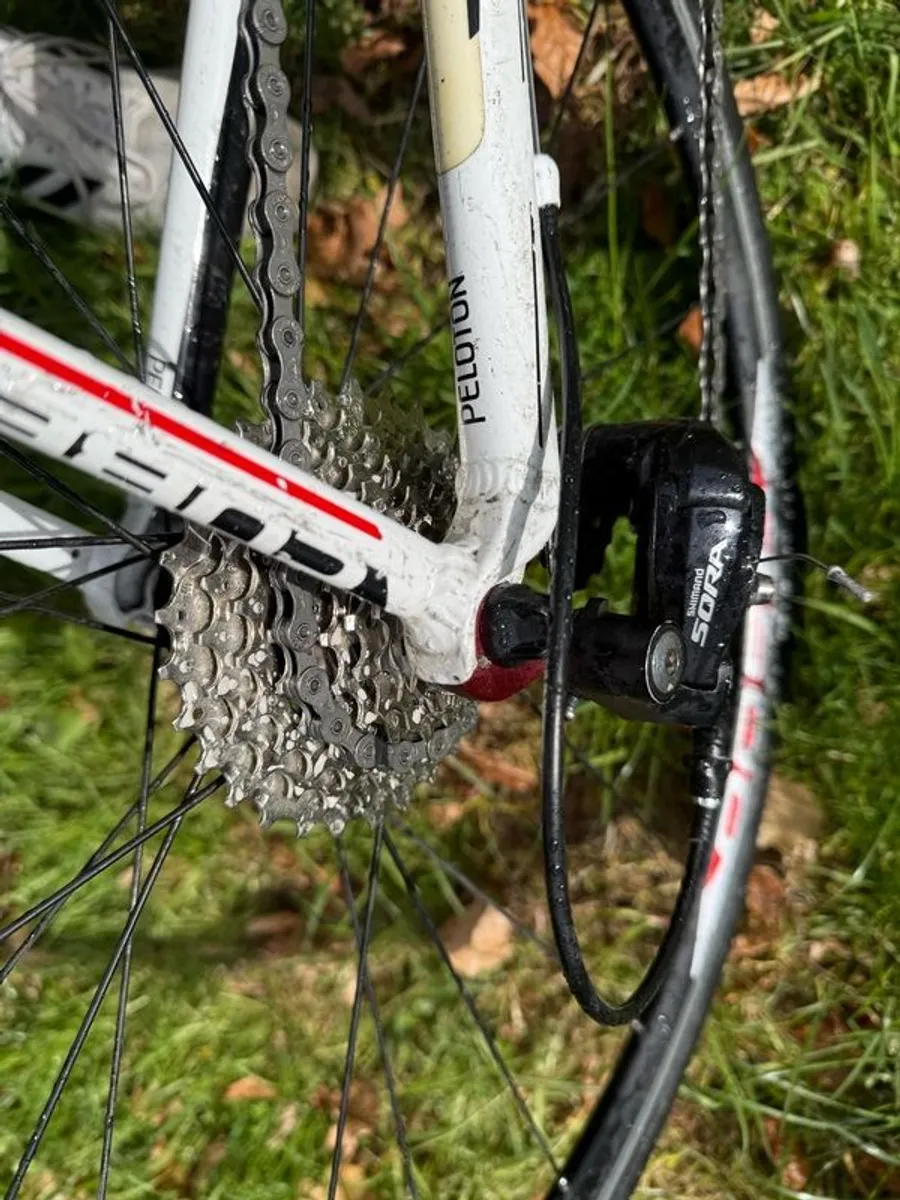 Cube Peloton XXL Rare - Image 2