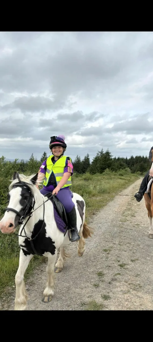 Beautiful 9yo ex riding school 12'2 pony mare - Image 4
