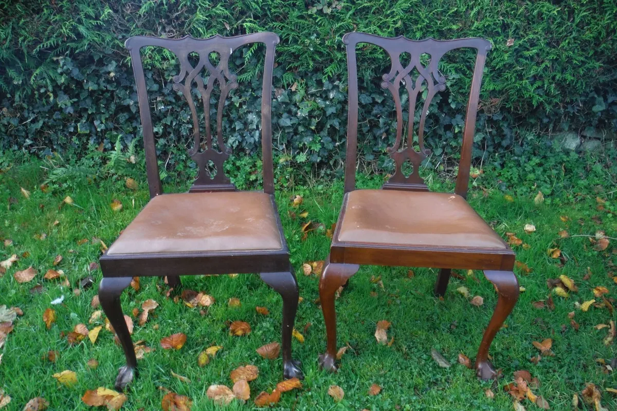 Side Chairs