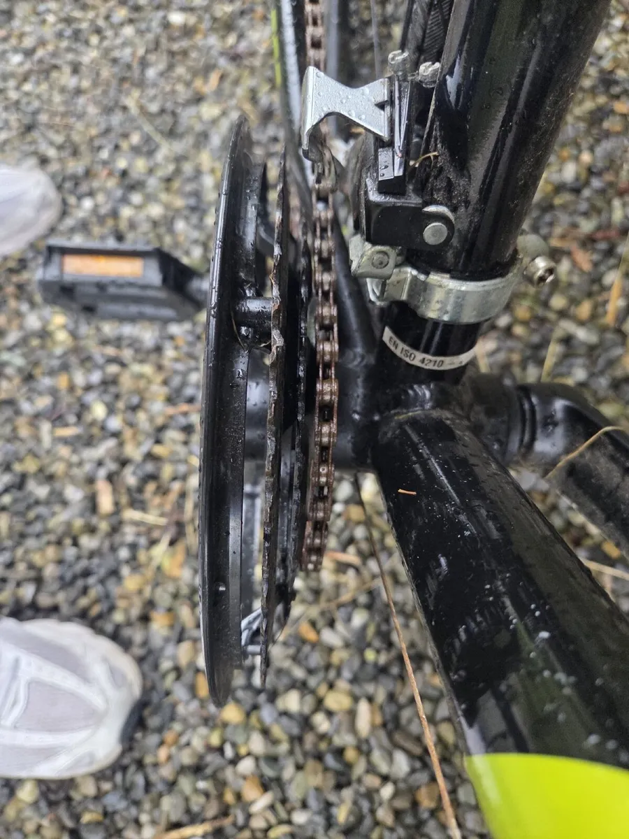 Bentini Ambleside 19” - Image 2