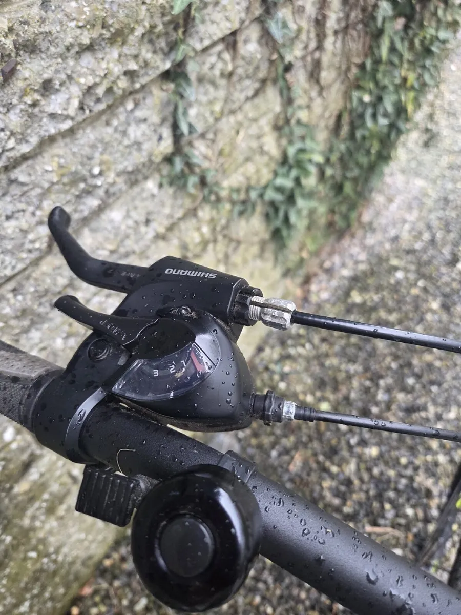 Bentini Ambleside 19” - Image 3