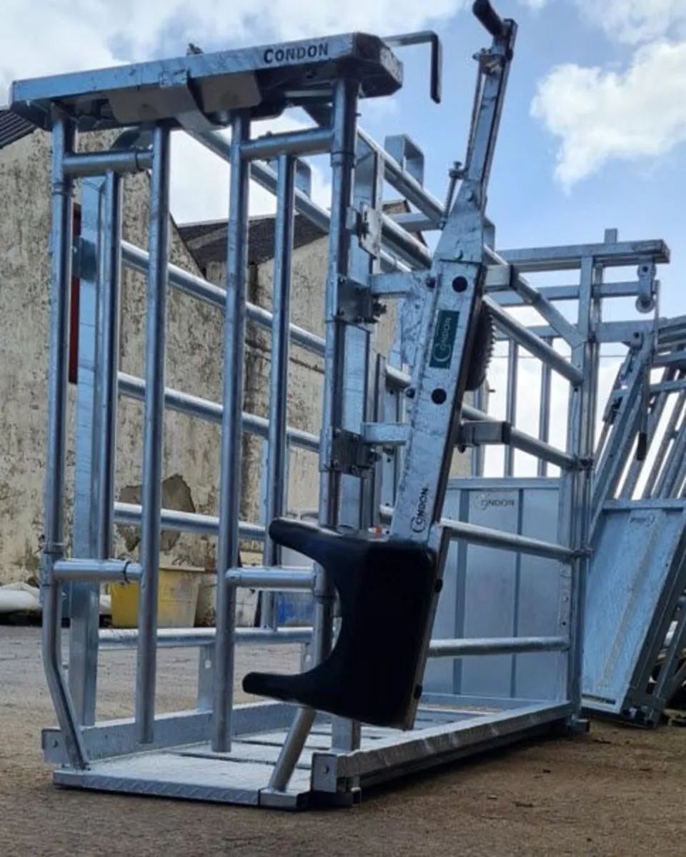 Cattle Crush, scales - Image 2