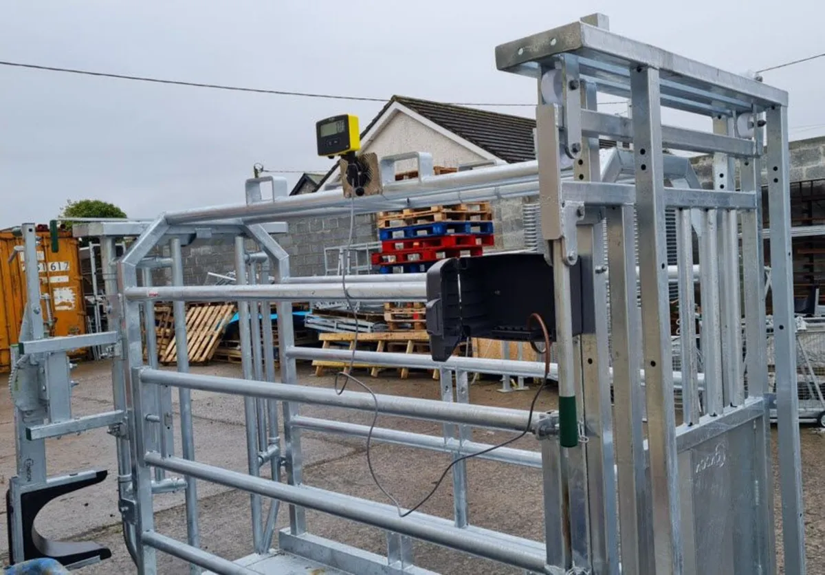 Cattle Crush, scales - Image 3