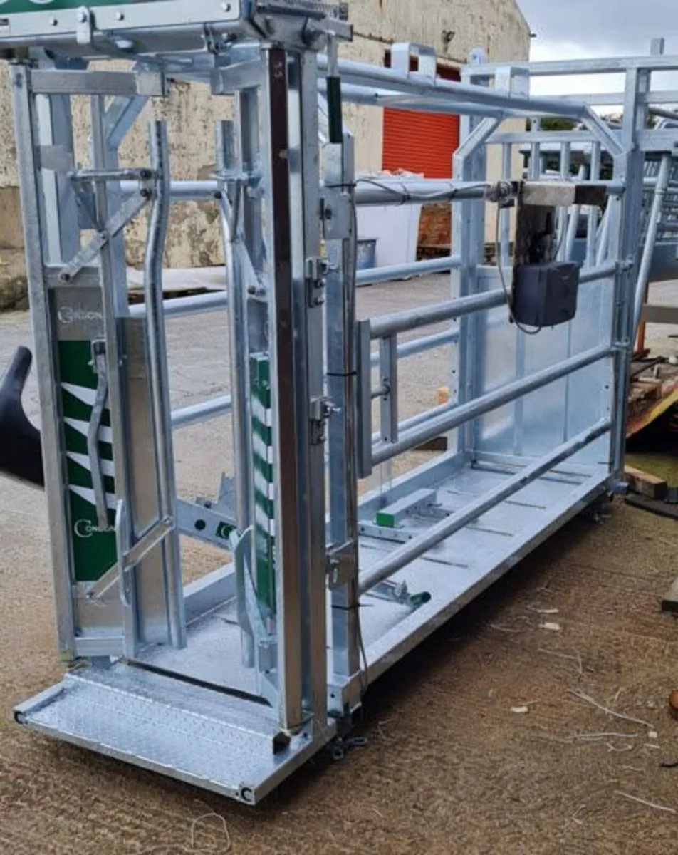 Cattle Crush, scales - Image 1