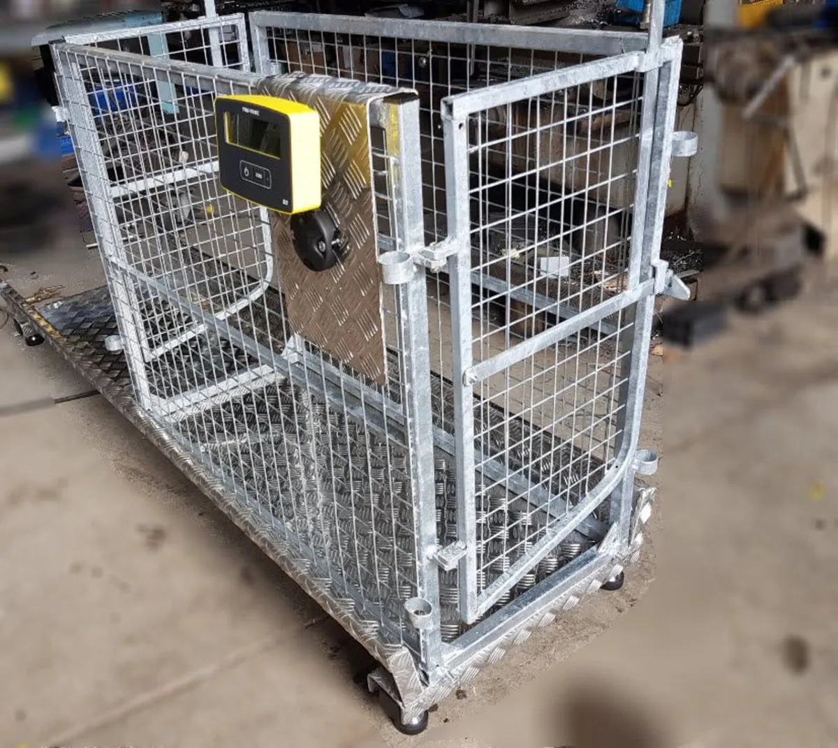 Cattle Crush, scales - Image 4