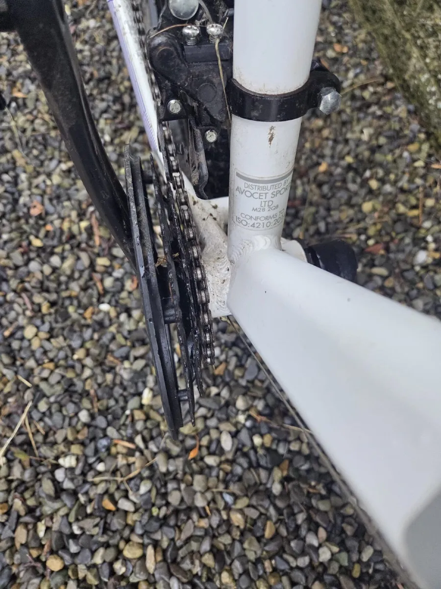 Coyote axr 16” - Image 2