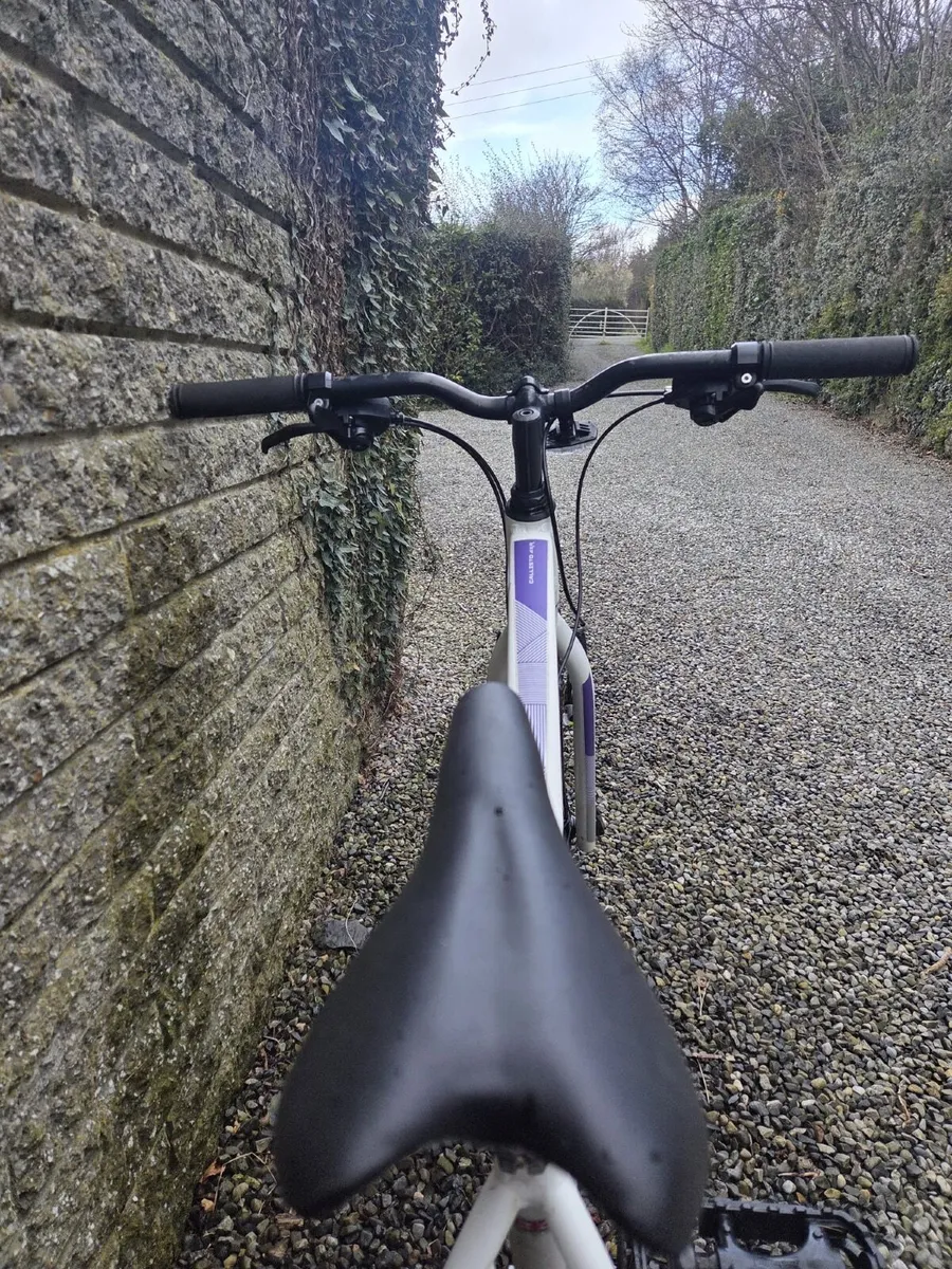 Coyote axr 16” - Image 3