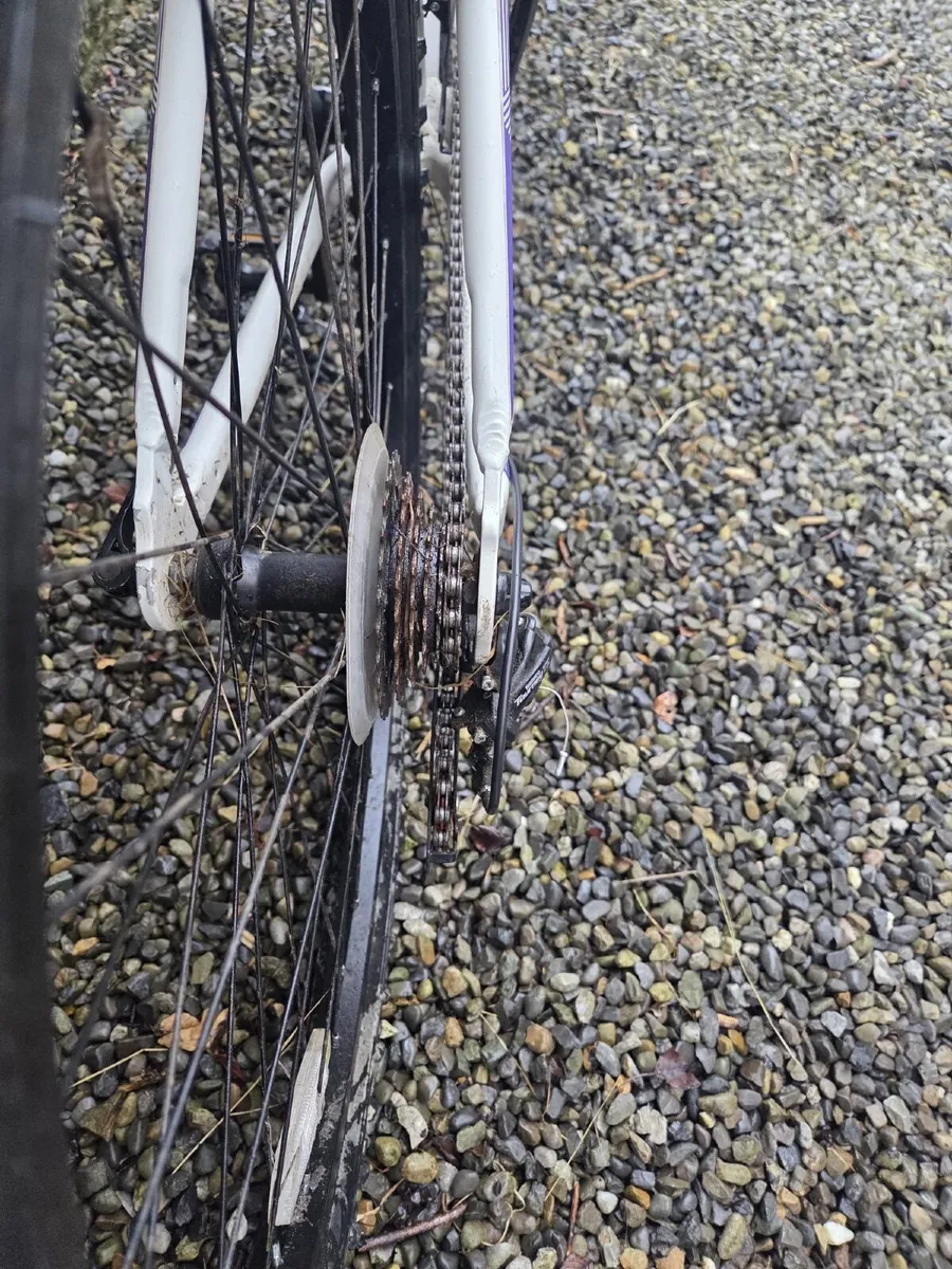 Coyote axr 16” - Image 4