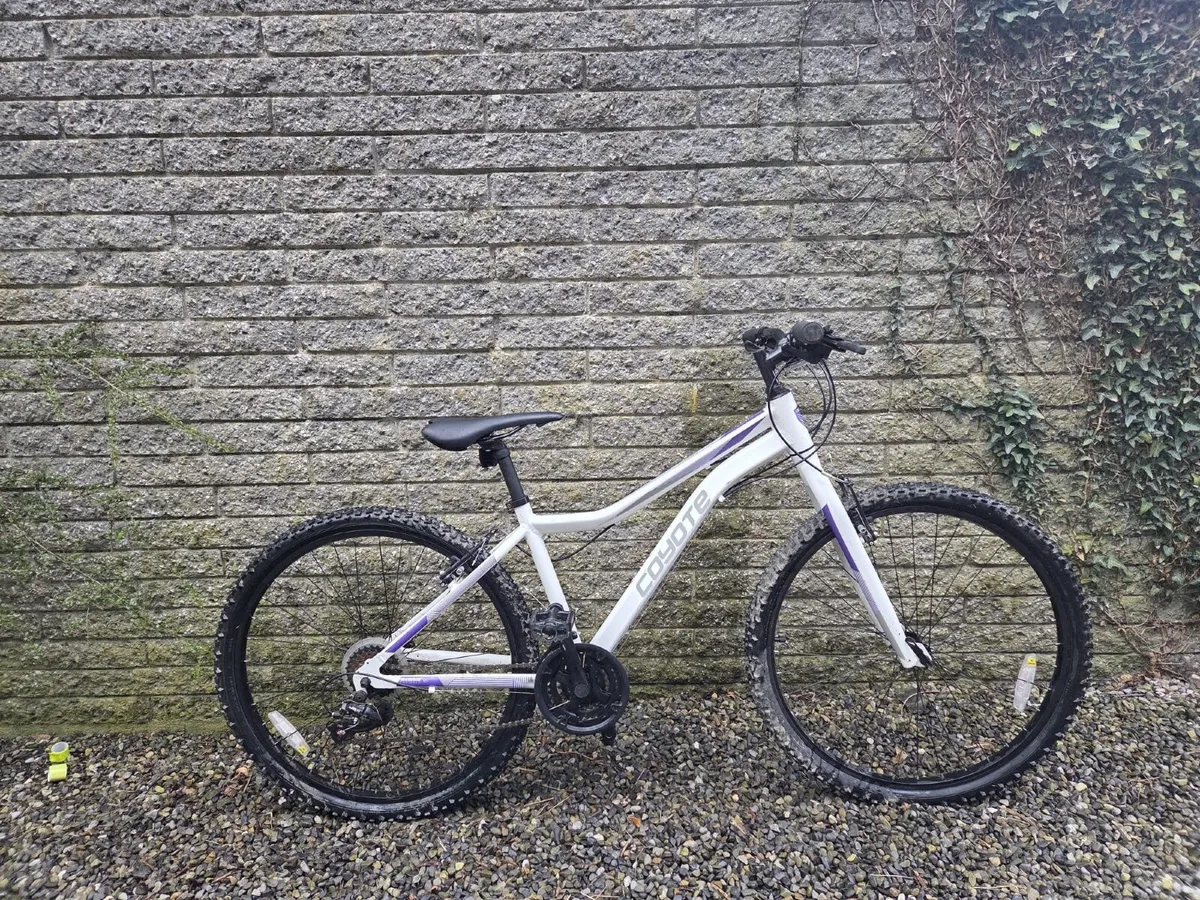 Coyote axr 16” - Image 1