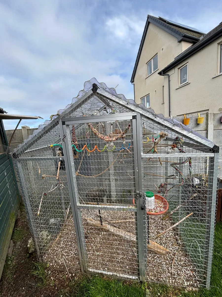 Different Birds Cages and Big Aviary available - Image 2
