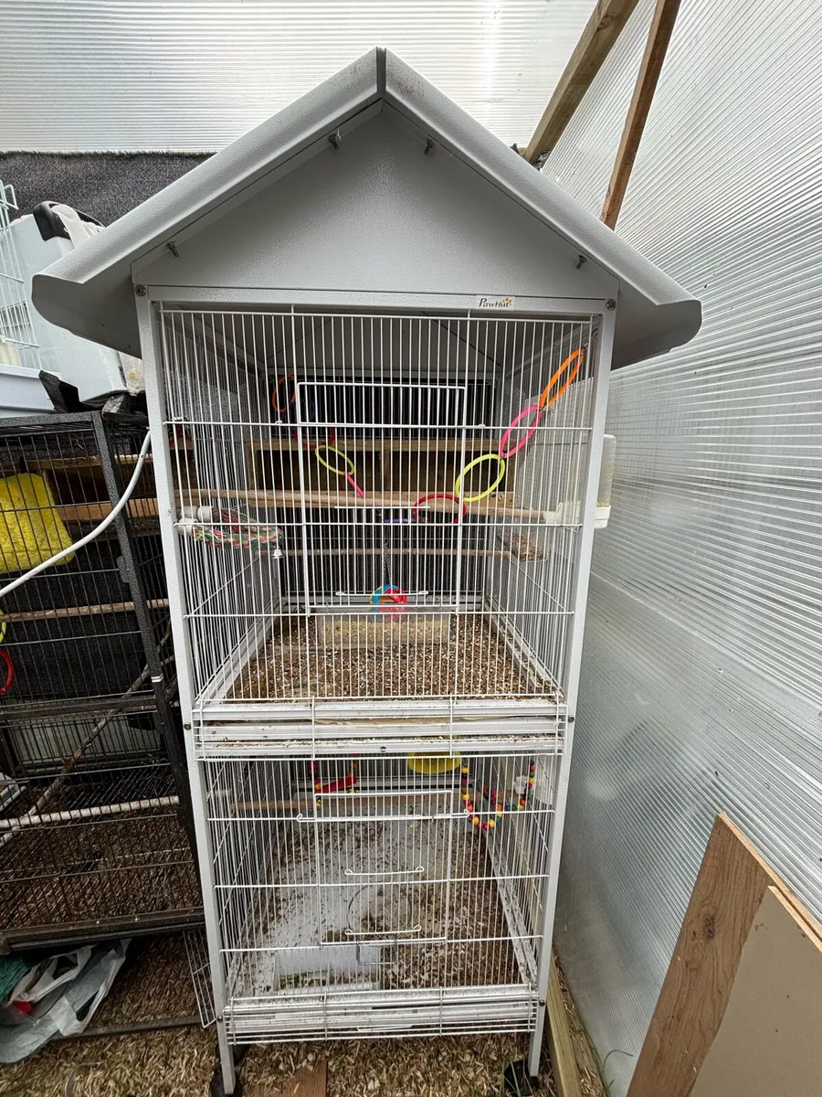 Different Birds Cages and Big Aviary available - Image 3
