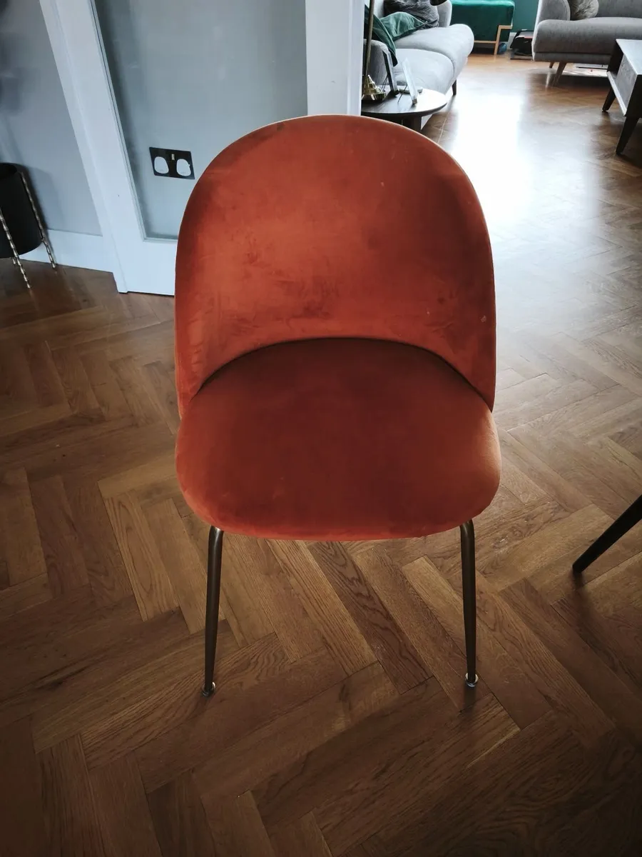 6 x Modern kitchen chairs - Image 1