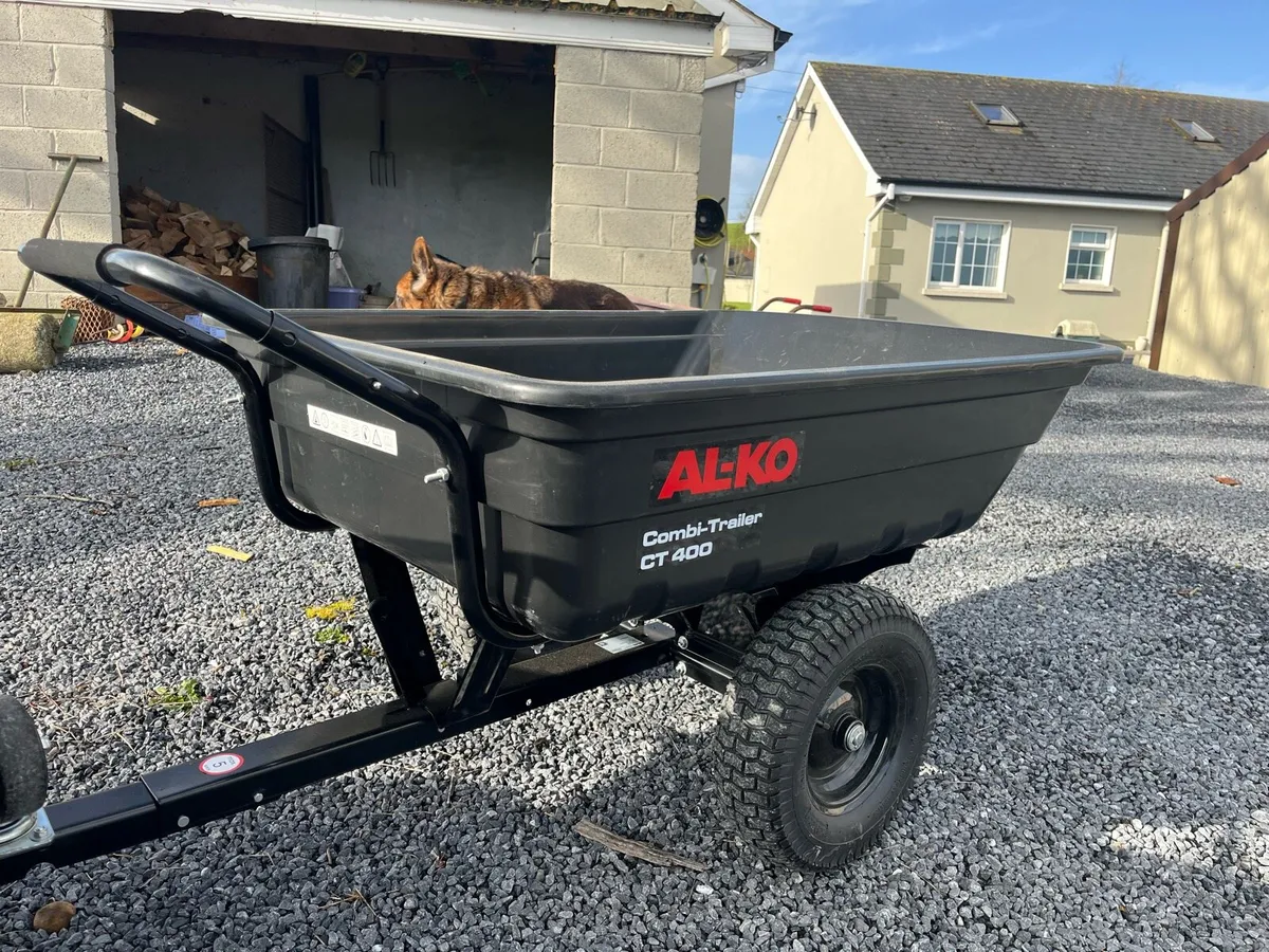 Honda fourtrax 250 & trailer - Image 4