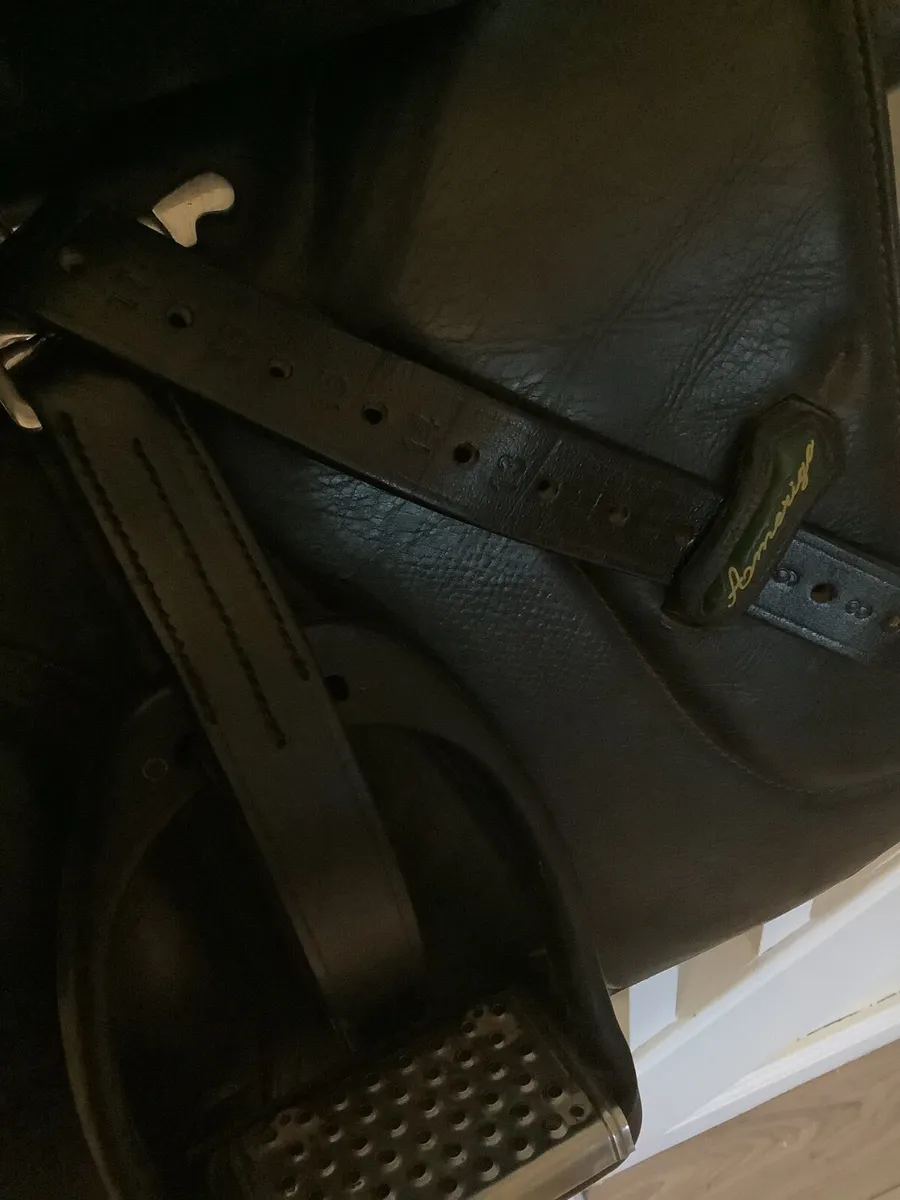 Amerigo jump saddle 17 inch narrow fit - Image 3