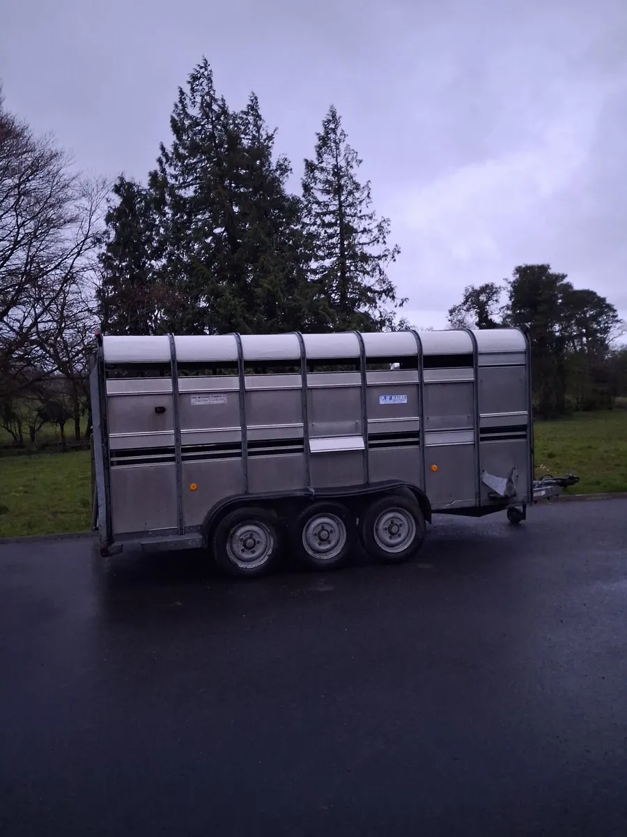 Cattle trailer - Image 3