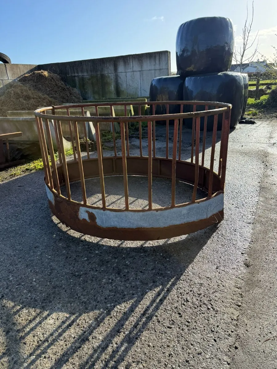 Sheep Ring Feeder - Image 2