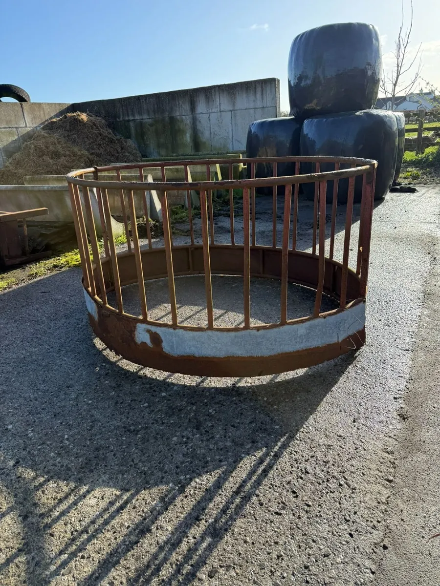 Sheep Ring Feeder - Image 1