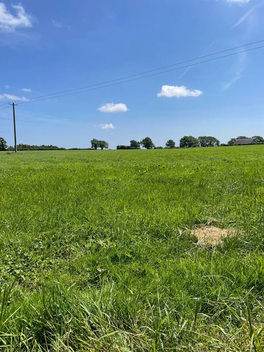 Livery yard - Image 3