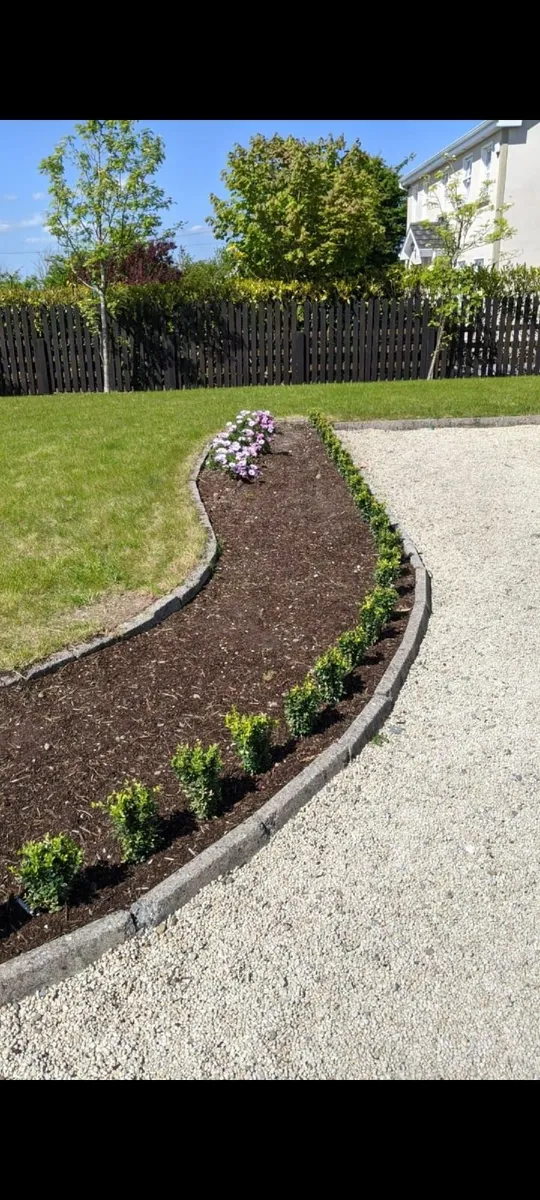 Box Hedging - Image 1