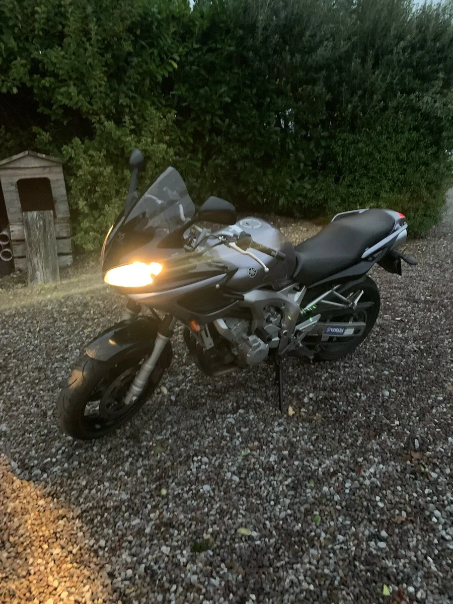 Yamaha FZ6 - Image 2
