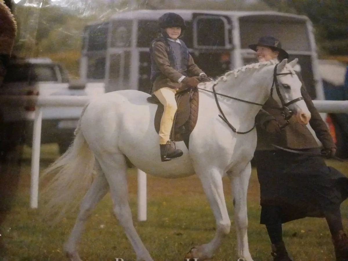 Welsh Sec B - Image 1