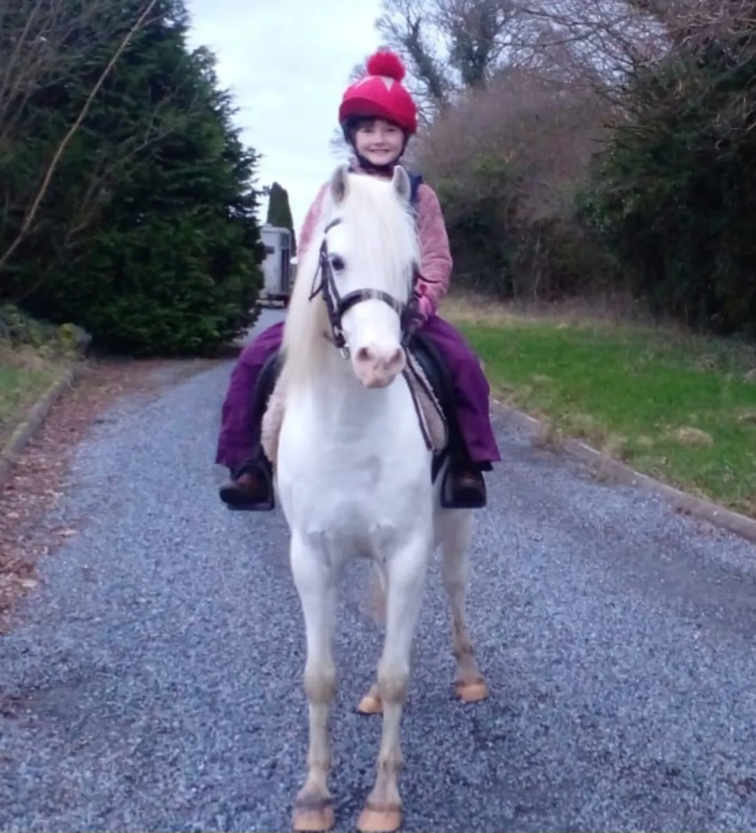 Welsh Sec B - Image 3