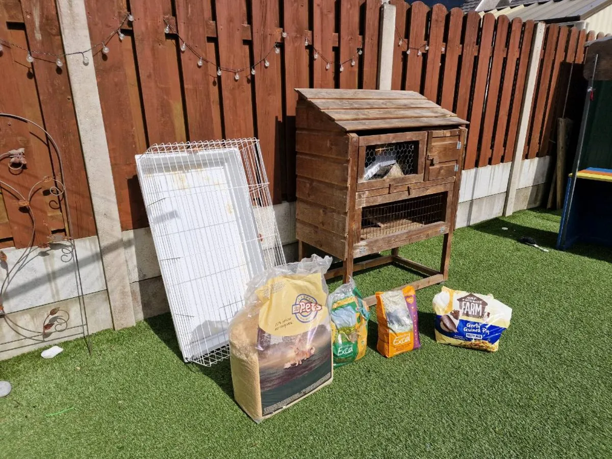 Guinea pig cage with food, bedding and hay