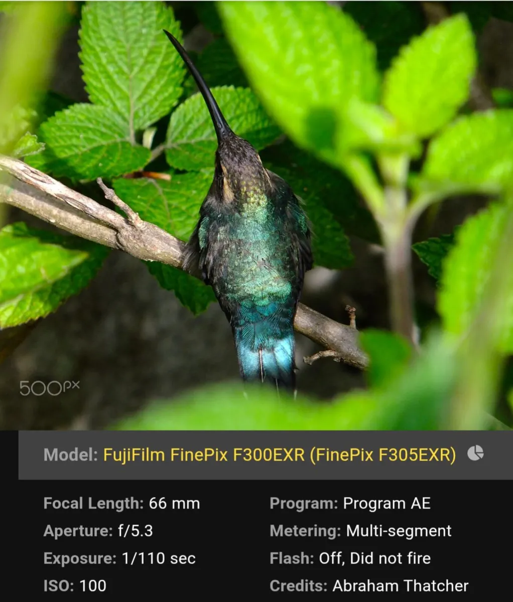 Fujifilm F300EXR SuperCCD🌈 compact 📸 Film sims - Image 2