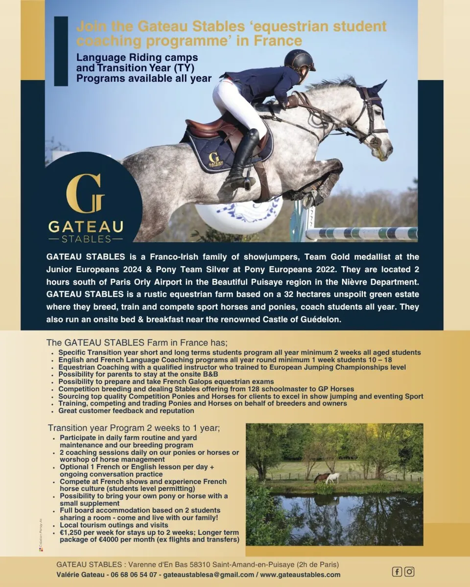 The Gateau Stables Riding Programmes in France - Image 1