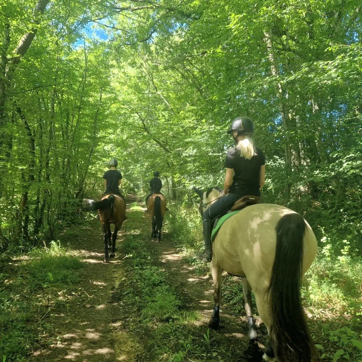 The Gateau Stables Riding Programmes in France - Image 3