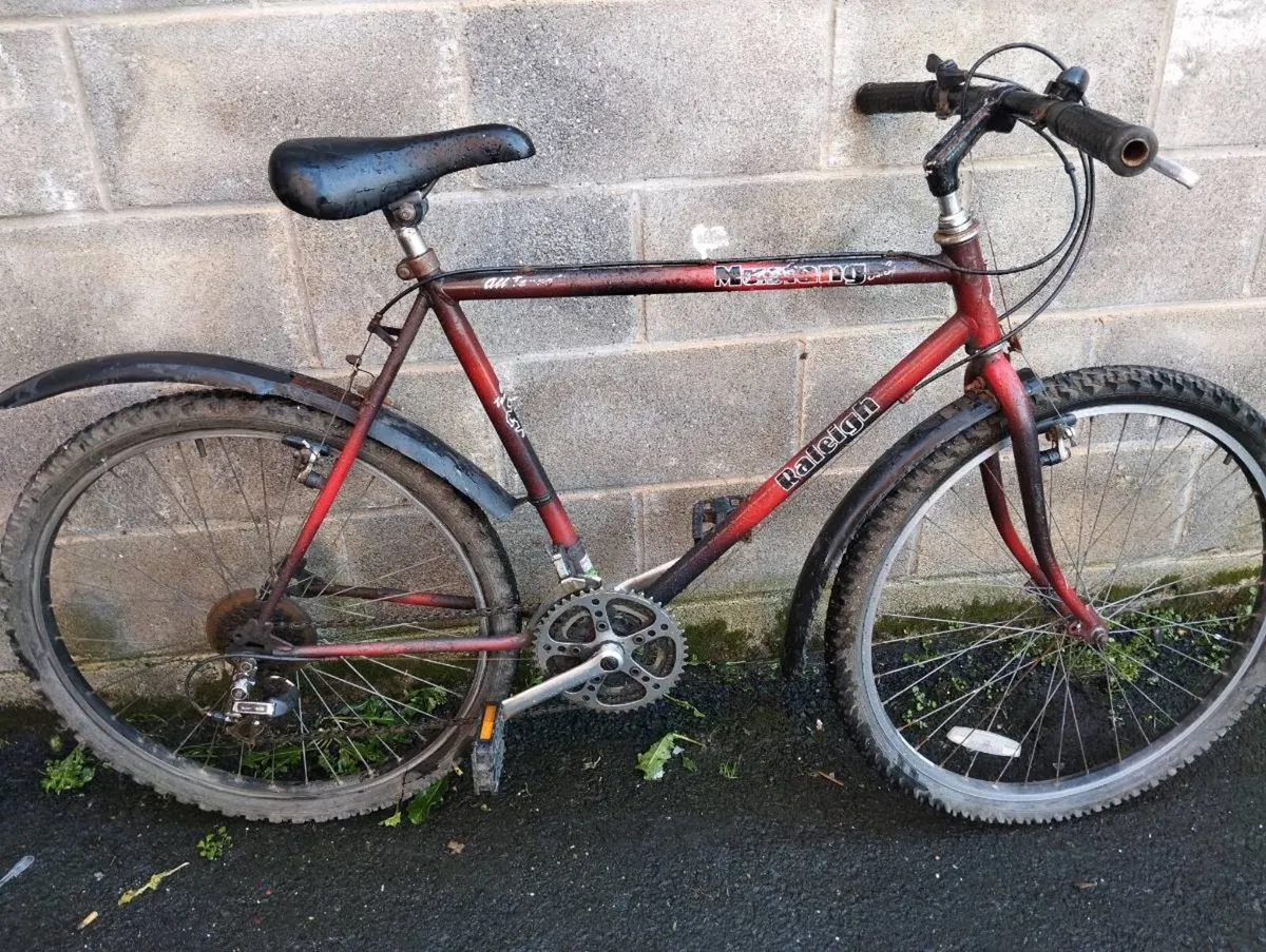 26inch Raleigh - Image 1