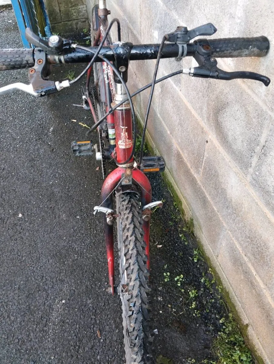 26inch Raleigh - Image 4