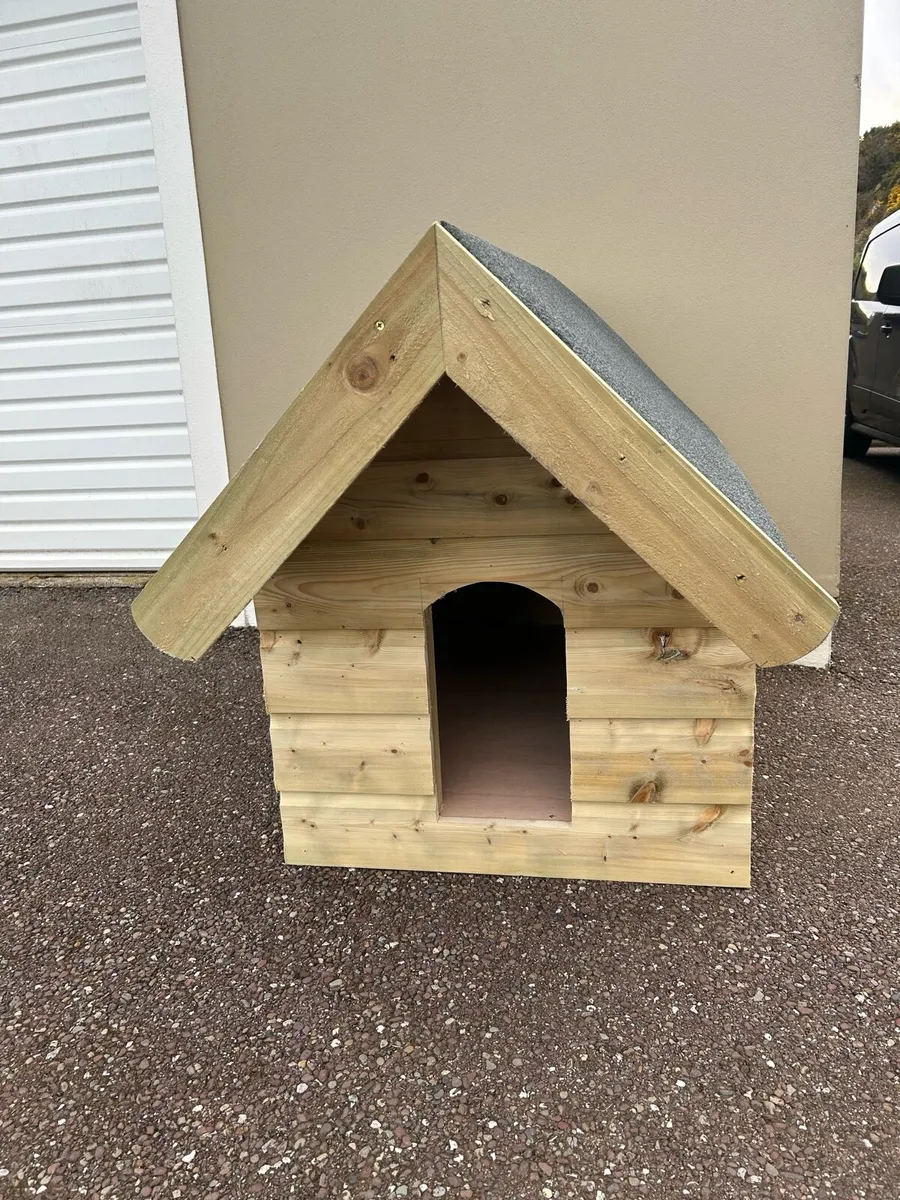 Dogs kennel - Image 1