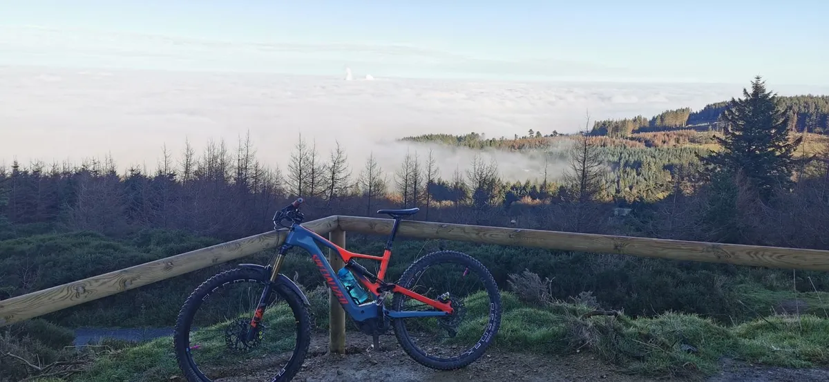 Specialised Levo Carbon Comp. Mountain Bike - Image 2