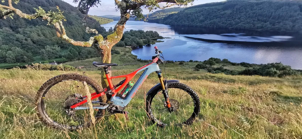 Specialised Levo Carbon Comp. Mountain Bike - Image 1