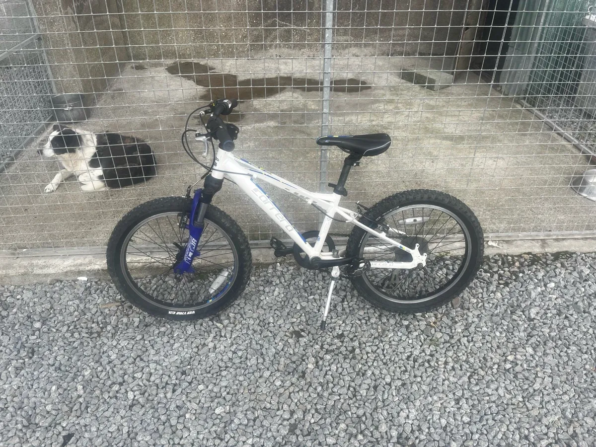 Carrera luna kids bike