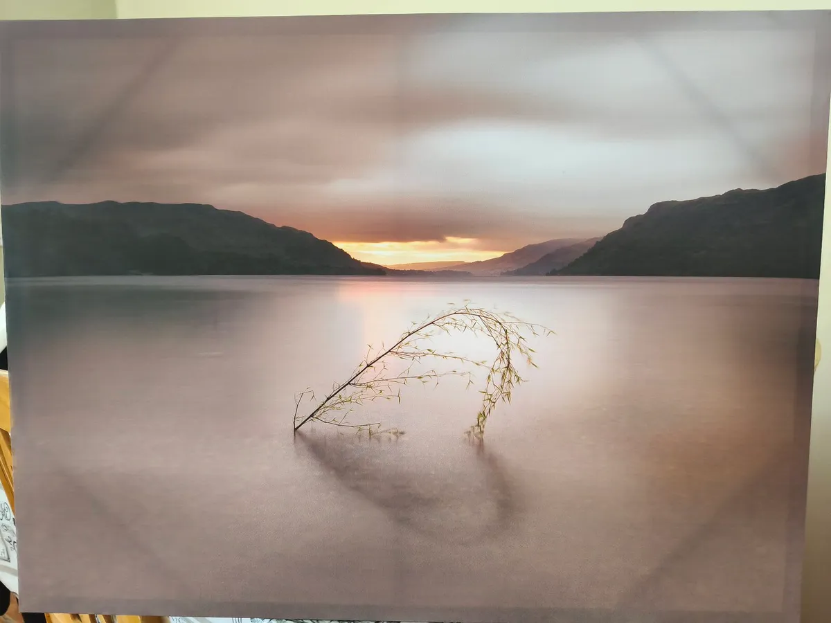 Canvas pictures - Image 2