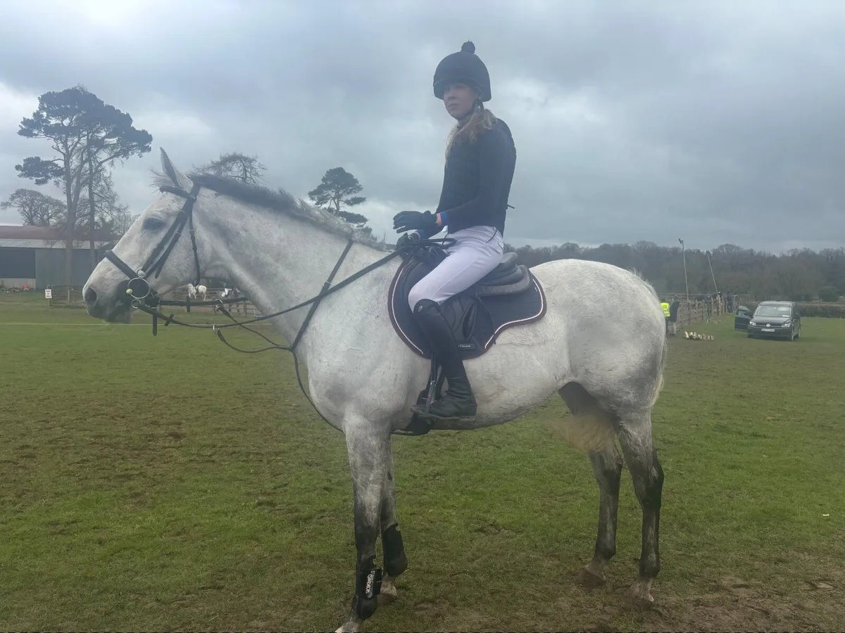 Lovely sensible 1.10m jumper/all-rounder - Image 1