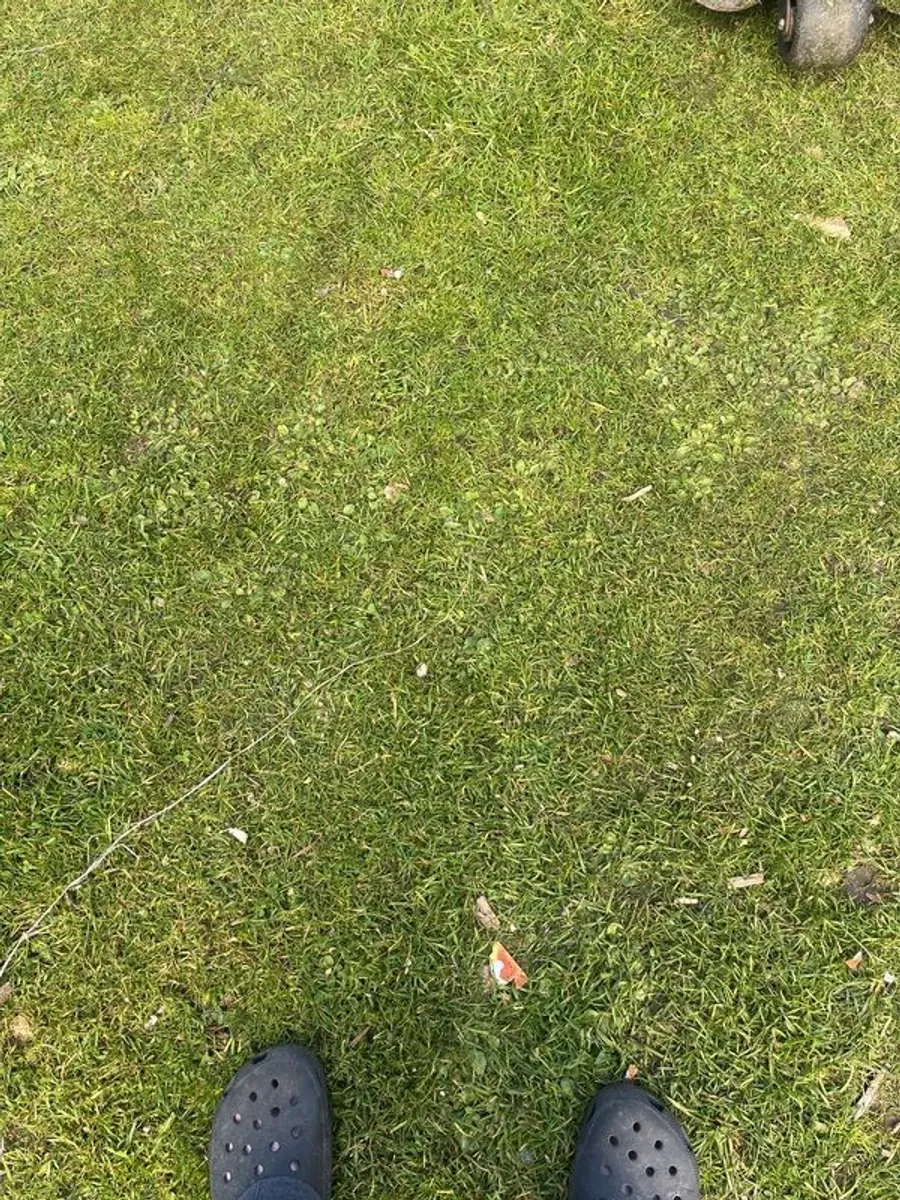 ride on mower for mower - Image 1